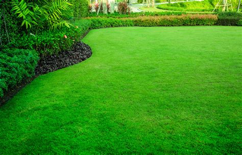How to Greener Grass